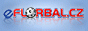 www.eflorbal.cz